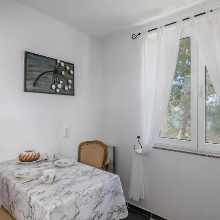 Cozy In Apartment